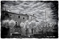 /album/fotogaleria-fotografia-infraroig/yyyyyyyyyyyyyyyyyy-1-inpixio-640x480-jpg/